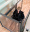 femme à plateforme elevatrice