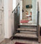 escalier pour chaise roulant